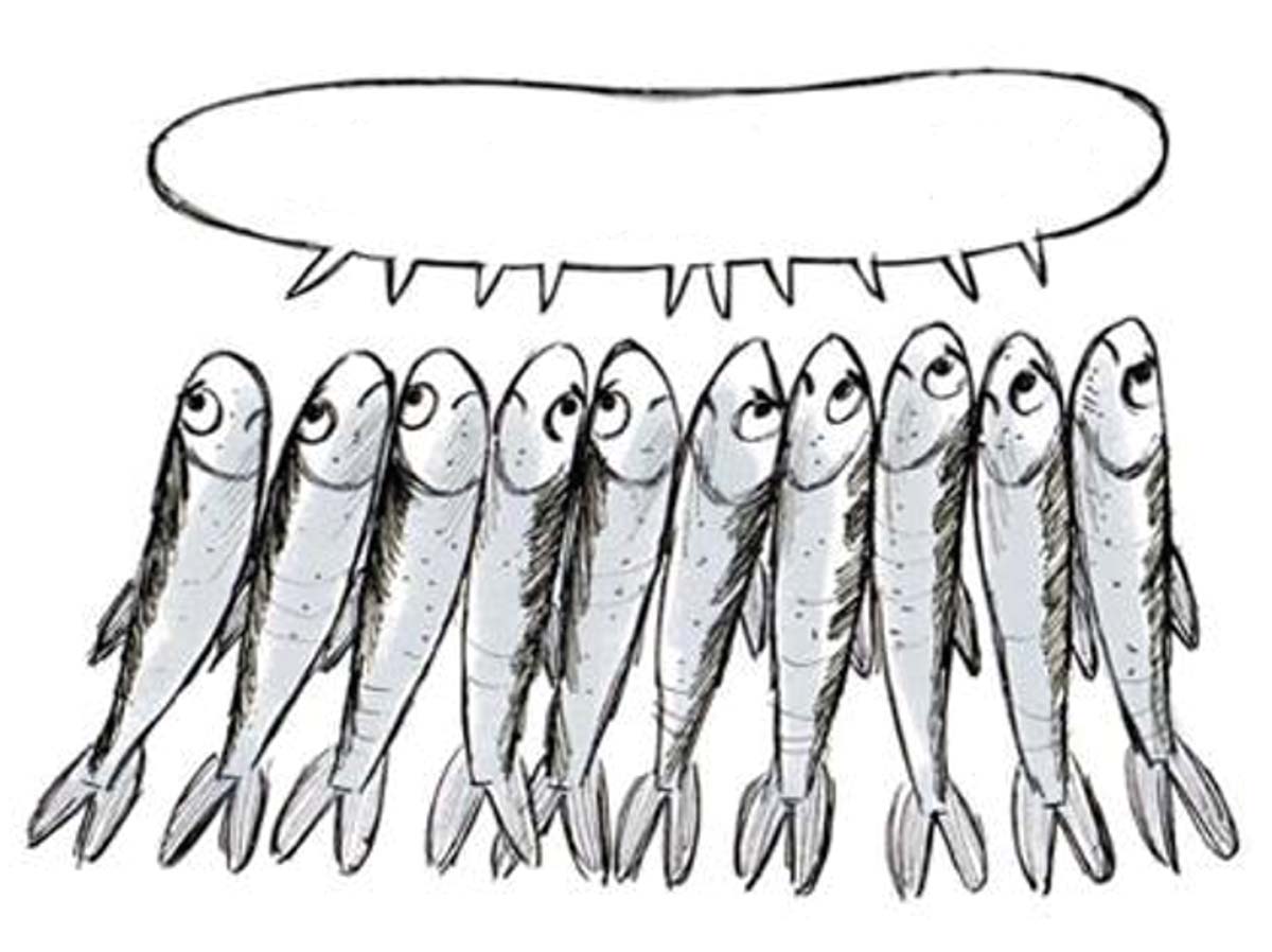 logo-sardine